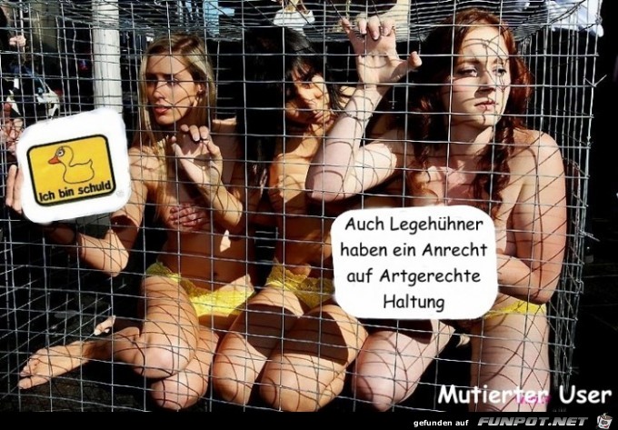 akutrjzthg 779 akutrjzthg 779