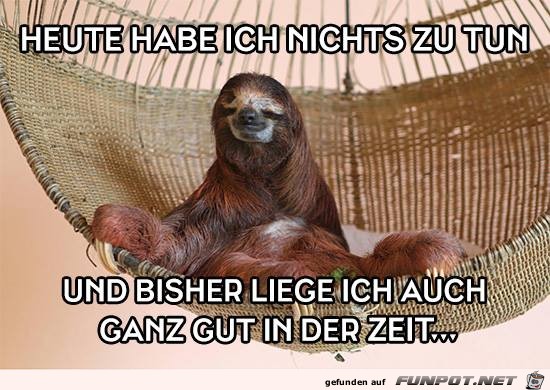 Heute habe ich nichts zu tun Heute habe ich nichts zu tun