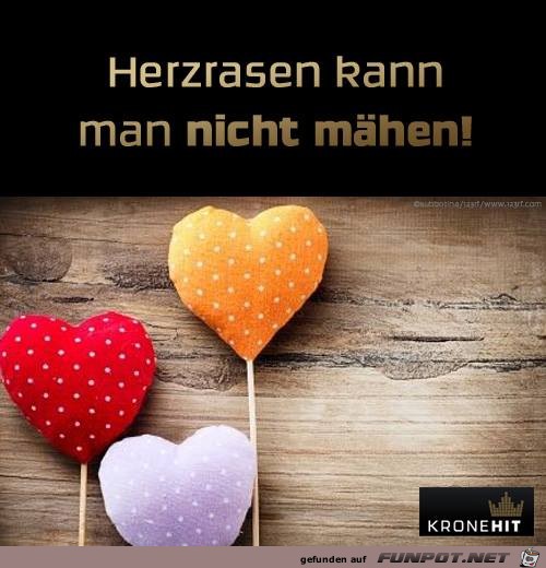 Herzrasen Herzrasen