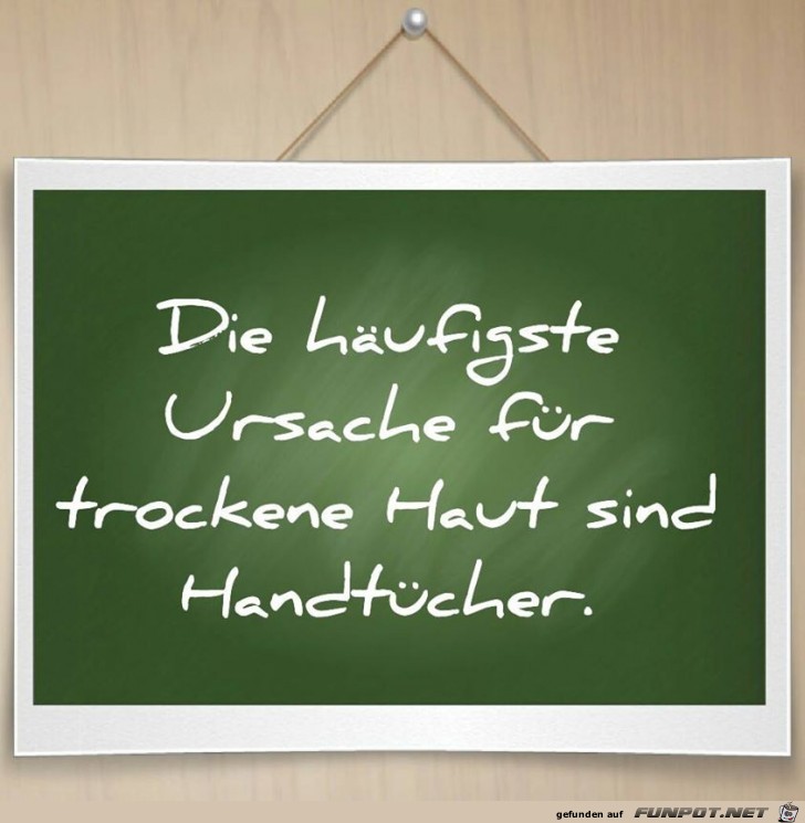 Ursache Ursache