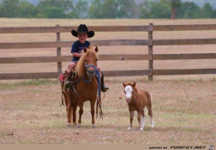image001 image001