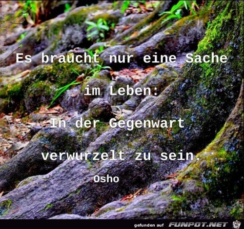 Es braucht nur eine Sache im Leben in der gegenwart verwur Es braucht nur eine Sache im Leben in der gegenwart verwur