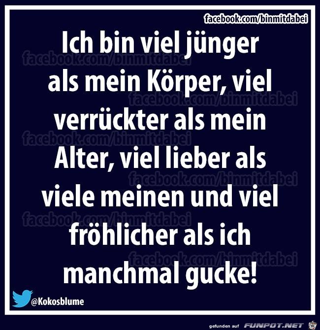 Koerper Koerper