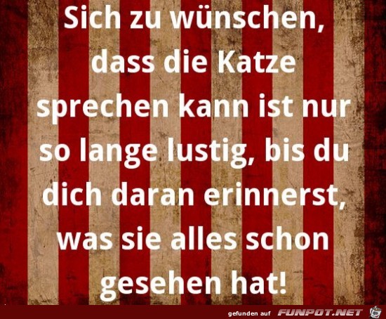 katze katze