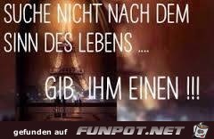 Suche nicht nach dem Sinn... Suche nicht nach dem Sinn...