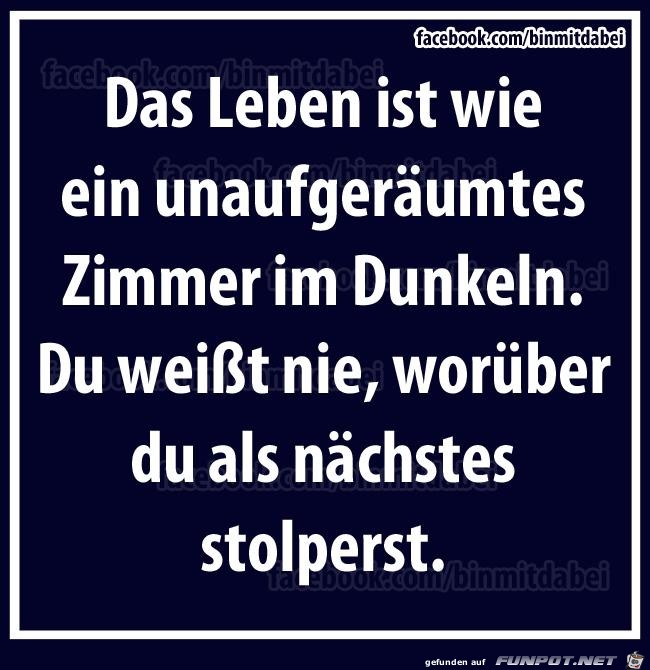 das Leben das Leben