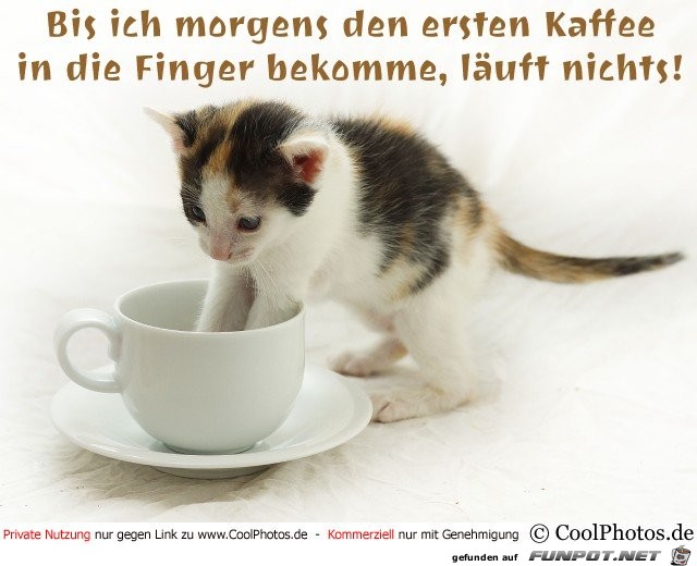 Bis ich morgens Bis ich morgens