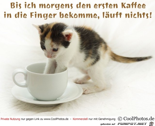 Bis ich morgens