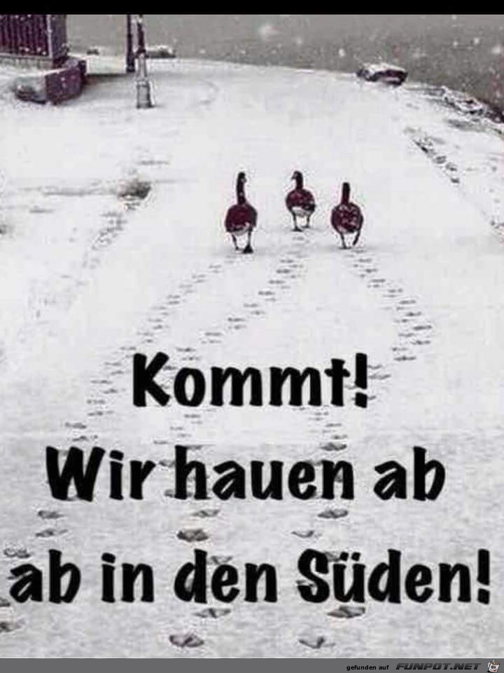 kommt kommt