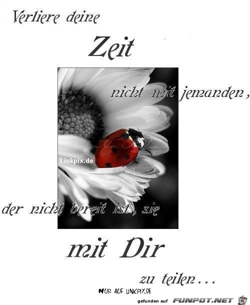 verliere deine zeit nicht 