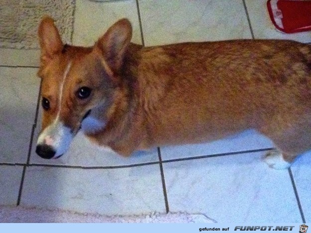 23-panorama-fails-7 23-panorama-fails-7