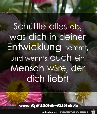 schuettle-alles-ab-was-dich-in-deiner-entwic