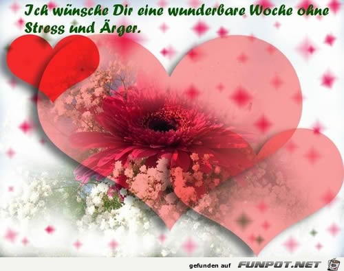 schoene-woche6 schoene-woche6