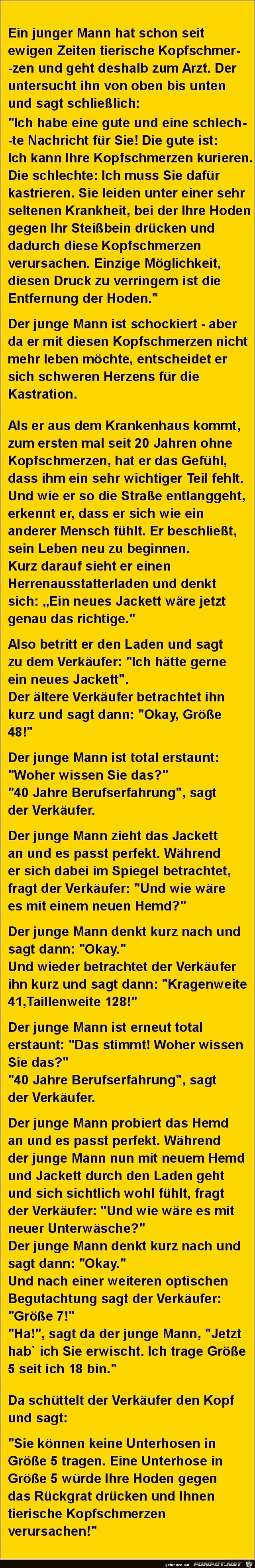 tierische Kopfschmerzen tierische Kopfschmerzen