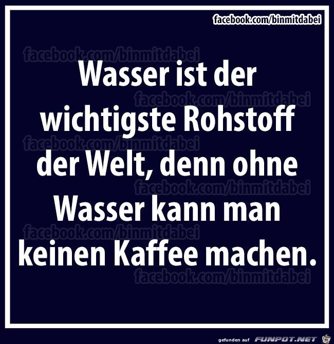 Wasser ist der wichtigste Rohstoff