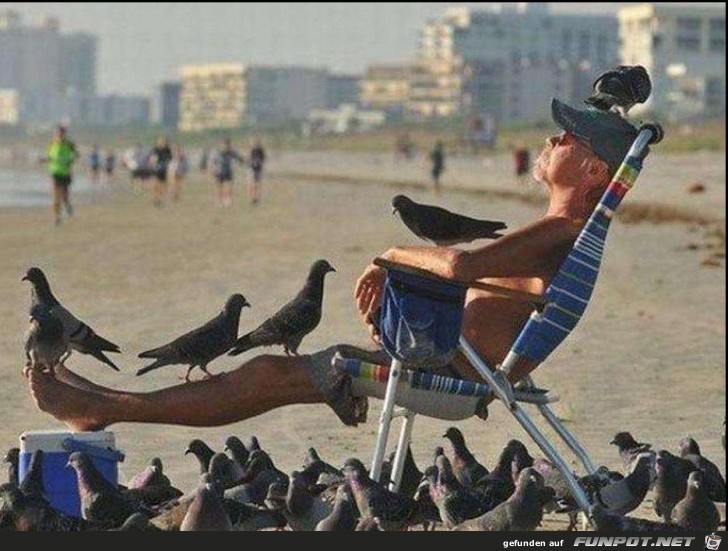 relax relax