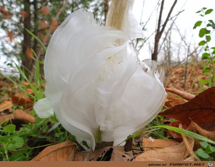 Gigantische Schnee- und Eis-Formationen 19 Gigantische Schnee- und Eis-Formationen 19