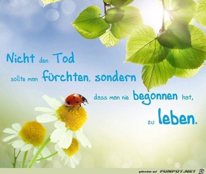 nicht den Tod