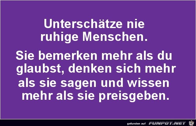 unterschaetze nie ruhige Menschen unterschaetze nie ruhige Menschen