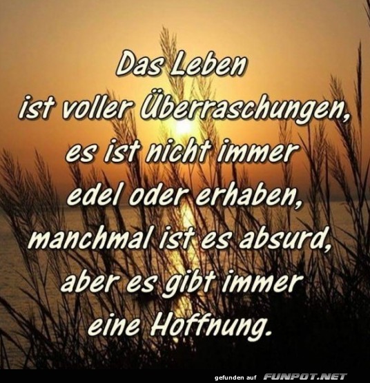 das Leben ist voller Ueberraschungen