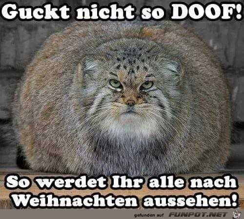 guckt nicht