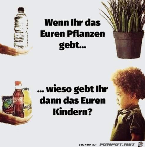 kinder