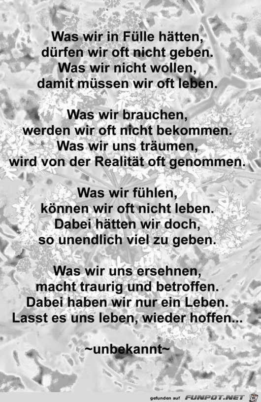 Was wir in Fuelle Was wir in Fuelle