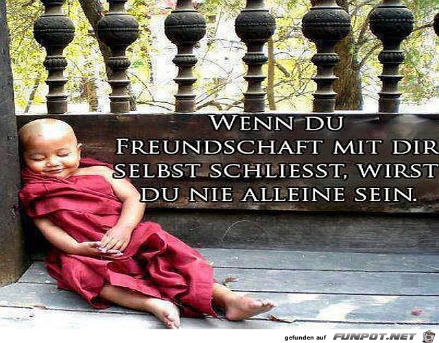 Wenn du Freundschaft mit Dir selbst schliesst