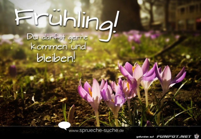 du-darfst-gerne-kommen-und-bleiben du-darfst-gerne-kommen-und-bleiben