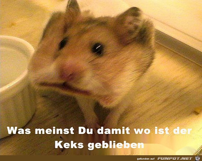 Keks Keks
