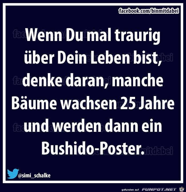 Wenn Du mal traurig über Dein Leben bist... Wenn Du mal traurig über Dein Leben bist...