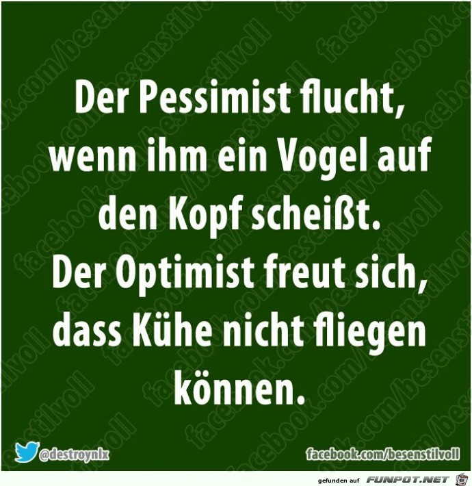 pessimist pessimist