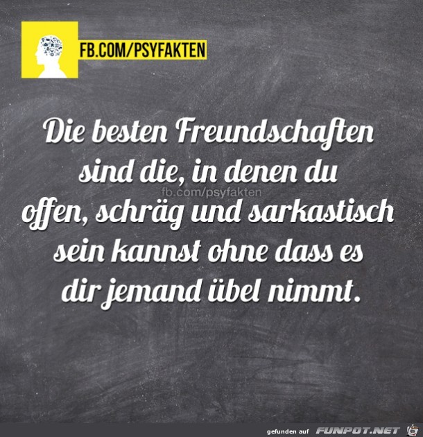 Die besten Freundschaften