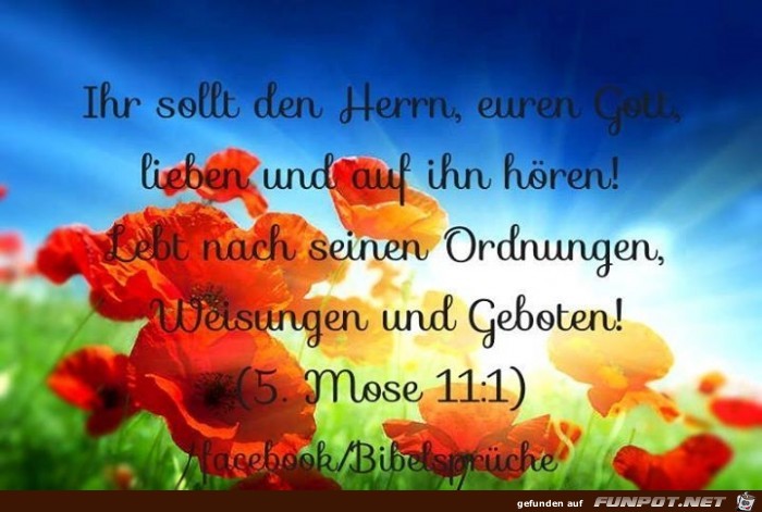 5 Mose 11 1 5 Mose 11 1