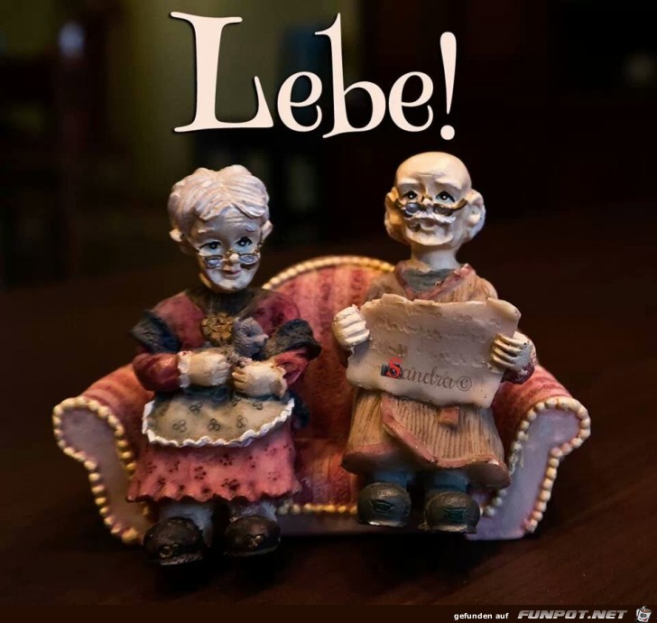 lebe lebe