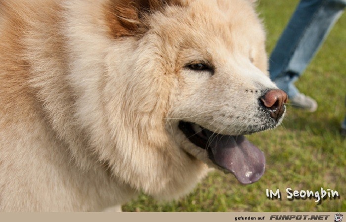 Schoene Tierbilder 15 Schoene Tierbilder 15