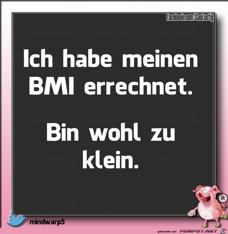  Habe meinen BMI errechnet