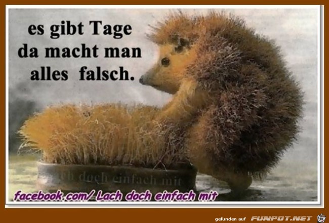 falsch