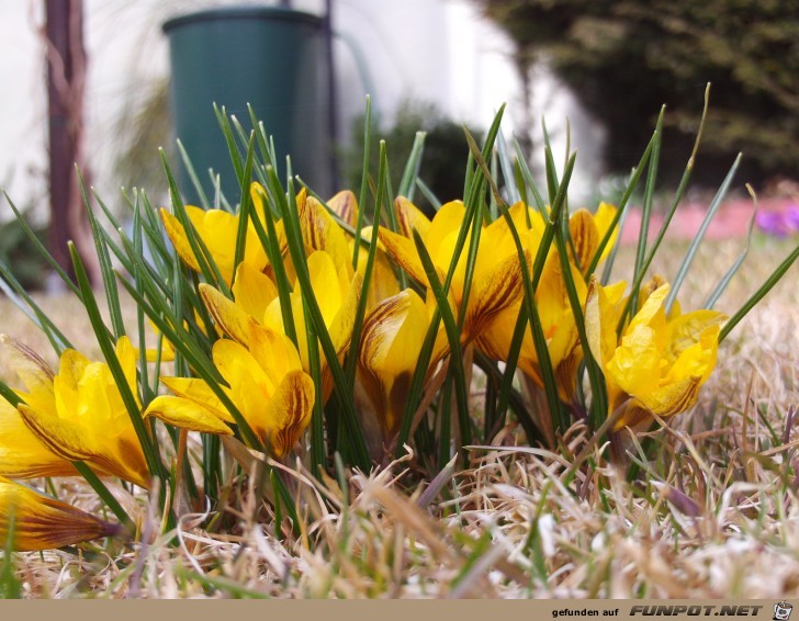 Hier noch ein kleiner Blickauf unsere Wiese