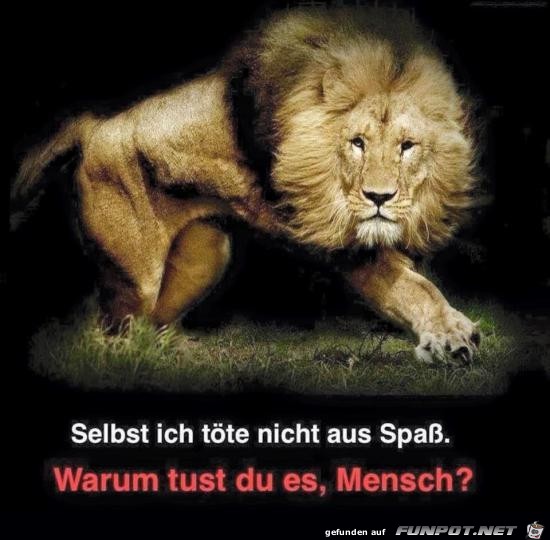 nicht aus Spass