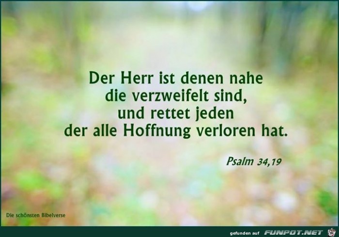 Psalm 34 19