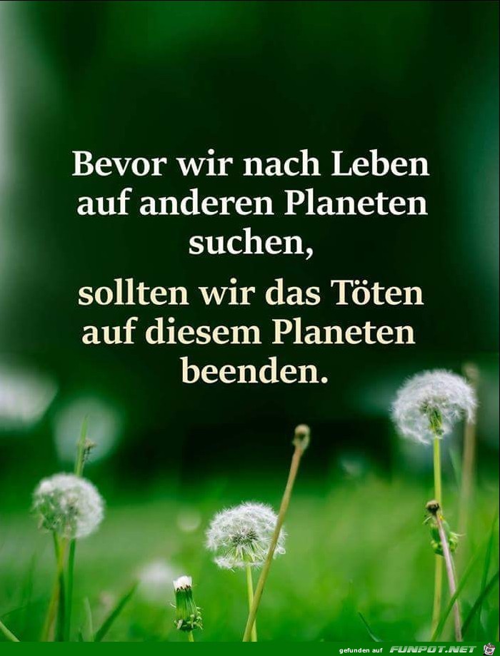 bevor wir