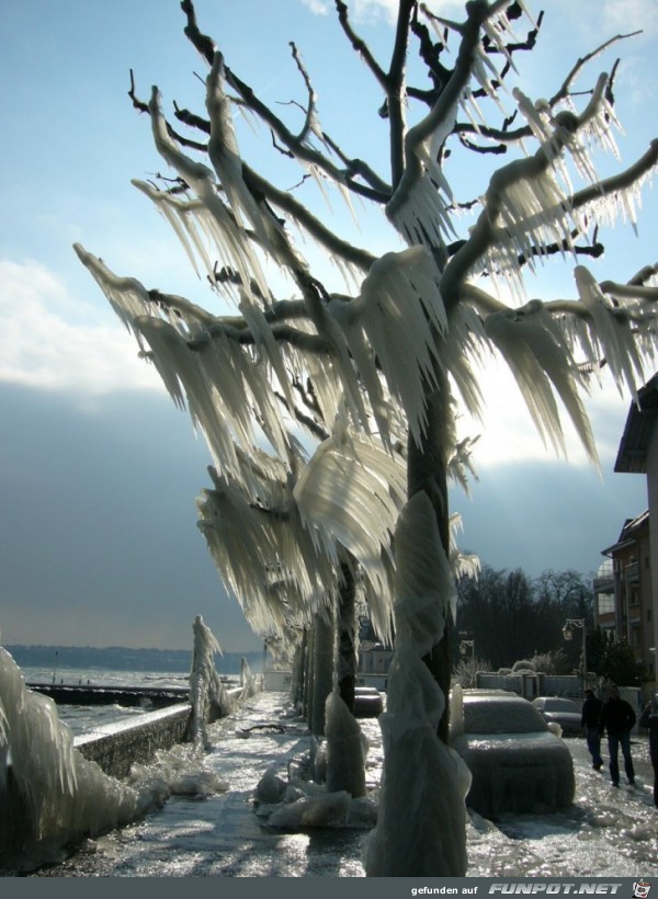 Eiszeit4 Eiszeit4
