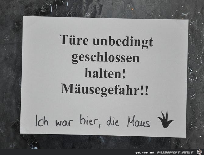 Maus Maus