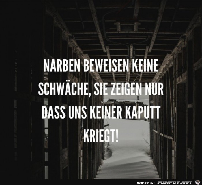 narben-