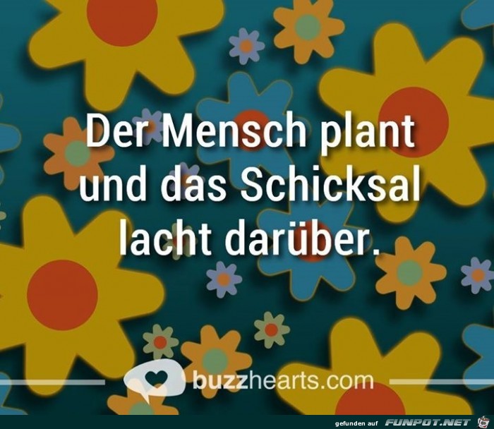 schicksal