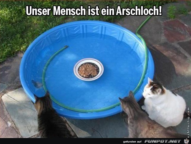 fies und gemein fies und gemein