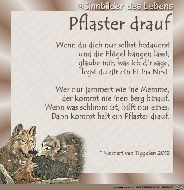 Pflaster drauf 