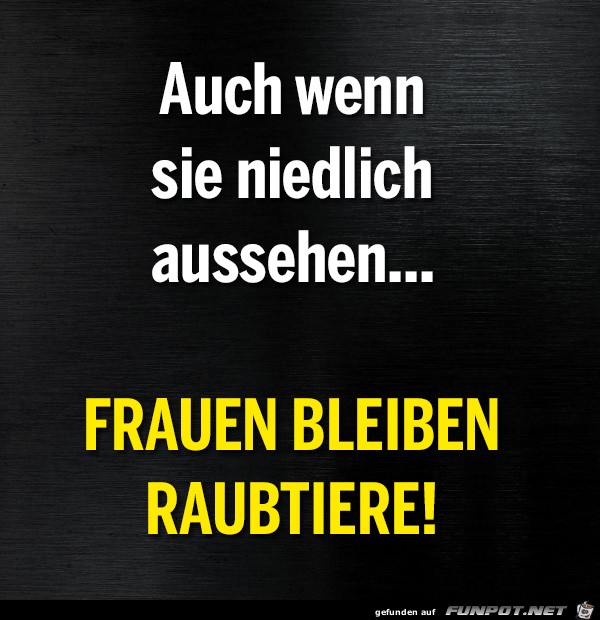 niedlich niedlich