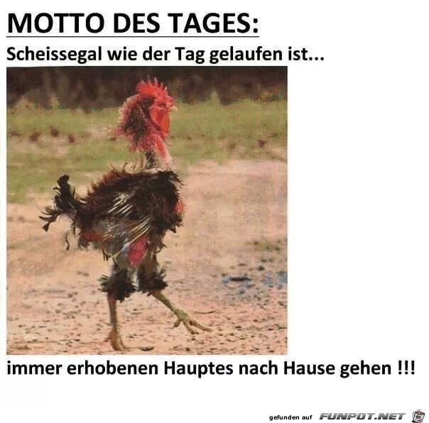 scheissegel scheissegel